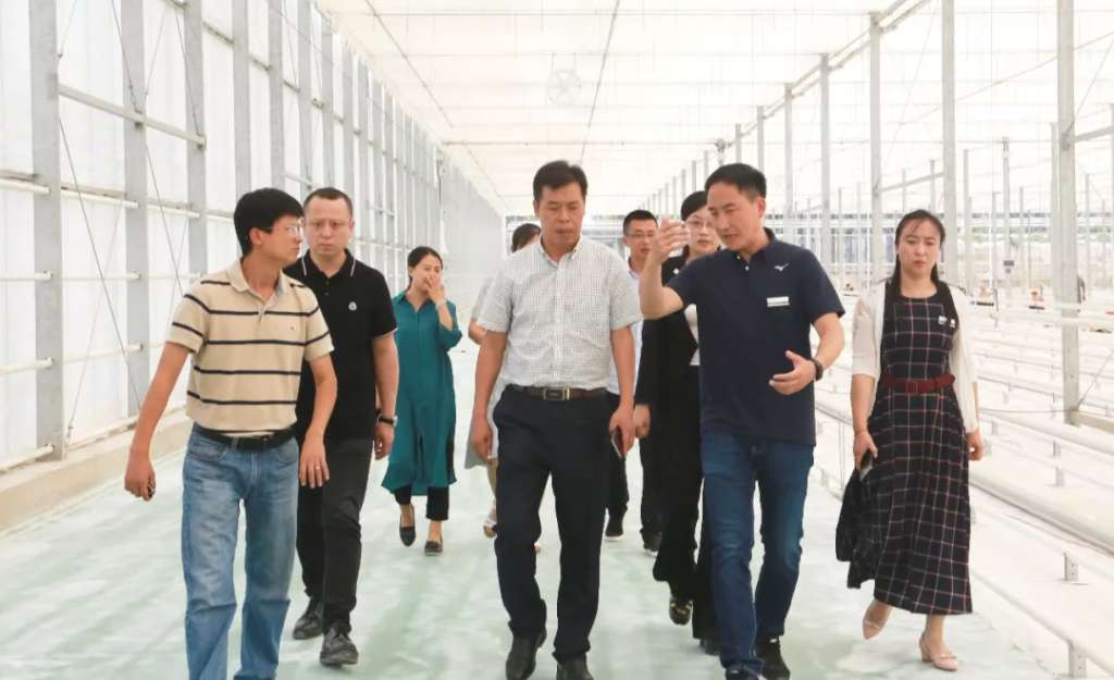 https://mmbiz.qlogo.cn/mmbiz_jpg/bM6FGpxxOlSeicxLEsvOcOe1R6c3xmiaA4KLJvCYnLicLr5NXSVbSNbWv45kw80Usia6fEYO5Lpfn68CWcoqibqZKpA/640?wx_fmt=jpeg