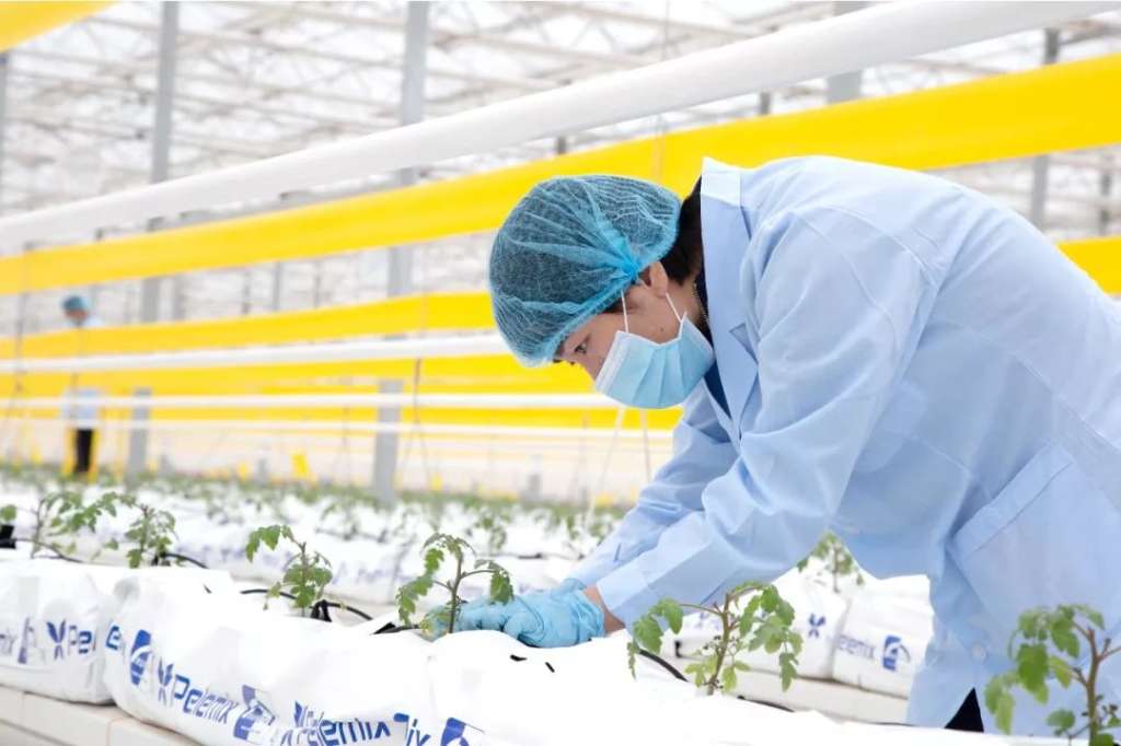 https://mmbiz.qlogo.cn/mmbiz_jpg/bM6FGpxxOlQDJaWZWzCJFo7VE5sq73ZkY7grGfI6dwnac0hb3sZvC0s21y8mwbjLCXpLfBfm7KGl0lbJlhphxQ/640?wx_fmt=jpeg