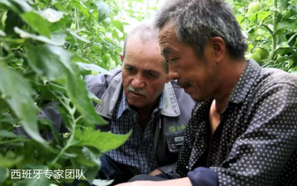https://mmbiz.qlogo.cn/mmbiz_jpg/bM6FGpxxOlTIbl7uXlbVpduFC0nlHrNlEPvpq6QRGj9l7HsXNnSMxPxEkYXVhKnSDLRN8EVneSFrXDicJjUFEmw/640?wx_fmt=jpeg