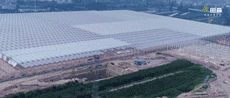 https://mmbiz.qlogo.cn/mmbiz_gif/bM6FGpxxOlSkIkJq8307FxviagqIBpuPGuUdWTCibv5Rjxible6q4PDC38QenMacWj1k0BzicE3riaiabP1TAFkdfVHQ/640?wx_fmt=gif